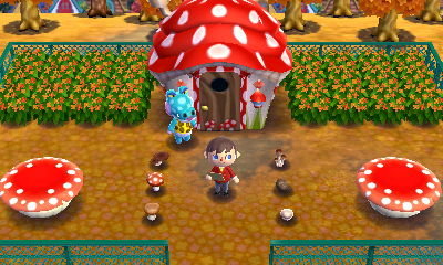 Alli's mushroom-filled yard.