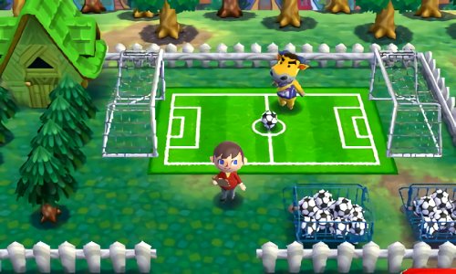 Coach's soccer field in Animal Crossing: Happy Home Designer for Nintendo 3DS.