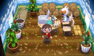 Cranston's rice themed home in Animal Crossing: Happy Home Designer.