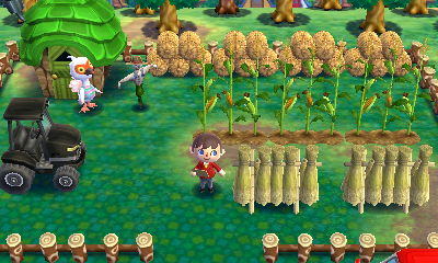 Cranston's rice themed farm in Animal Crossing: Happy Home Designer.