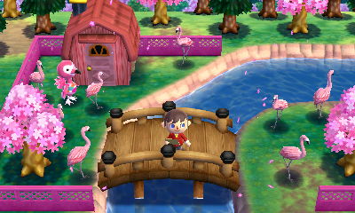 Flora's yard is full of pink flamingos. (ACHHD)