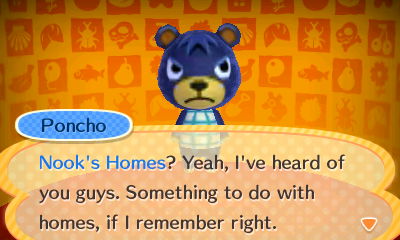 Poncho: Nook's Homes? Yeah, I've heard of you guys. Something to do with homes.