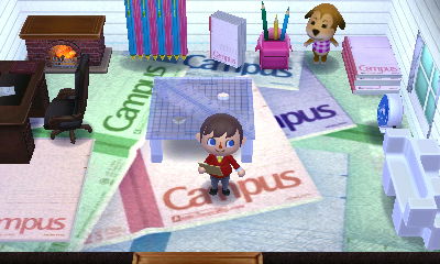 The inside of Maddie's Campus stationery house (ACHHD)