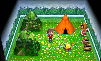 Inside of King Nook's outdoorsy home.
