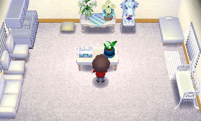 The inside of Whitney's white house in Animal Crossing: Happy Home Designer for Nintendo 3DS.