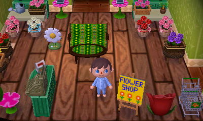 The flower shop in the dream town of Farmland.
