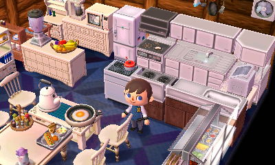 A kitchen in Lion Town.
