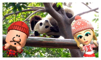 Yukon and TZ pose with a panda while honeymooning in China.