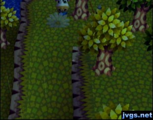 Belle comes from out of nowhere.