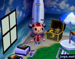 Island furniture in my Animal Crossing house.
