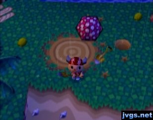 Wearing a red aloha shirt on the stormy island.