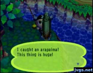 I caught an arapaima! This thing is huge!