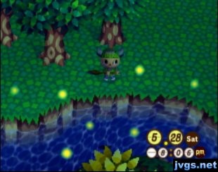 Fireflies by the river.