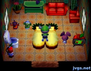 Leaving something in Carmen's pineapple beds.