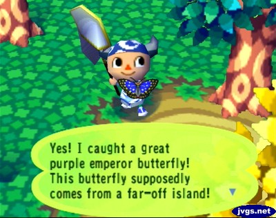 Yes! I caught a great purple emperor butterfly! This butterfly supposedly comes from a far-off island!