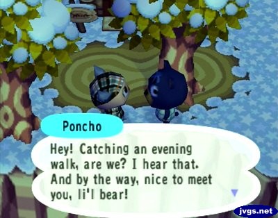 Poncho: Hey! Catching an evening walk, are we? I hear that. And by the way, nice to meet you, li'l bear!