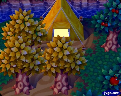 A summer camper's tent in Animal Crossing for Nintendo GameCube.