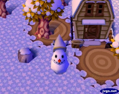 Using my net to give a snowman a pointy hat.