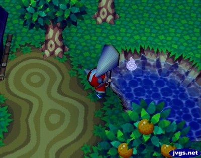 Catching a spirit in Animal Crossing for Nintendo GameCube.