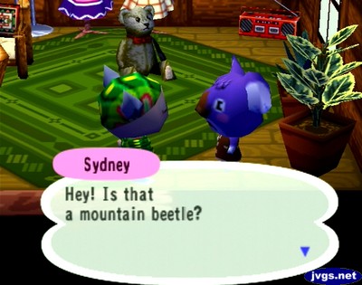 Sydney: Hey! Is that a mountain beetle?