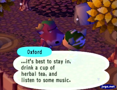 Oxford: ...it's best to stay in, drink a cup of herbal tea, and listen to some music.