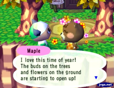 Maple: I love this time of year! The buds on the trees and flowers on the ground are starting to open up!