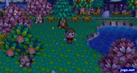 Falling cherry blossom petals.