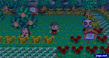 Chow trying to hide behind a sign post.