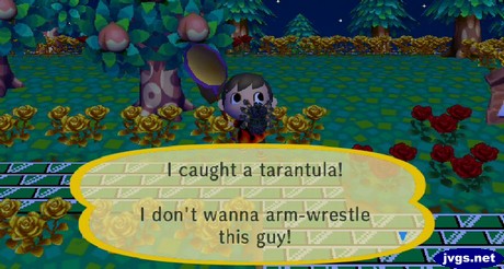 I caught a tarantula! I don't wanna arm-wrestle with this guy!