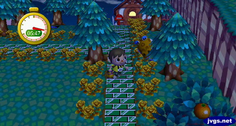 Alfonso peeking his head out from behind a tree.