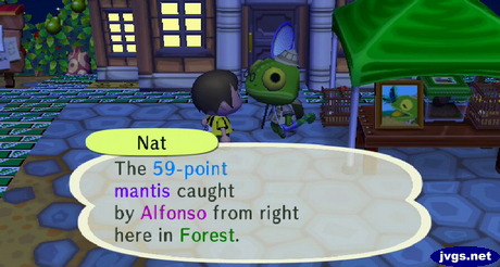 Nat: The 59-point mantis caught by Alfonso from right here in Forest.
