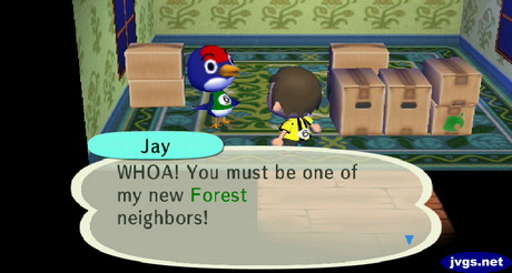 Jay: WHOA! You must be one of my new Forest neighbors!