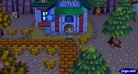 My orange brick path.