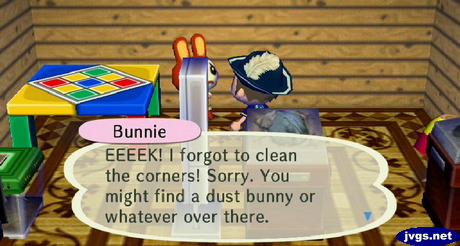 Bunnie: EEEEK! I forgot to clean the corners! Sorry. You might find a dust bunny or whatever over there.