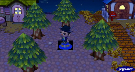 A round mushroom that popped up.