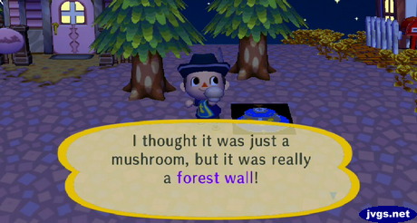 I thought it was just a mushroom, but it was really a forest wall!