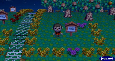 Many flowers were missing from Bob's grave.