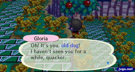 Gloria: Oh! It's you, old dog! I haven't seen you for a while, quacker.