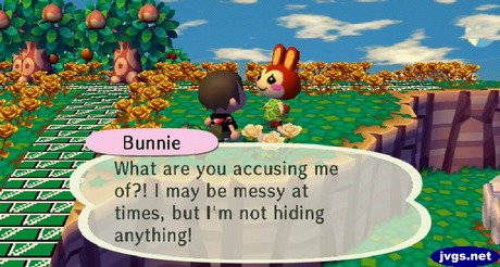 Bunnie: What are you accusing me of? I may be messy at times, but I'm not hiding anything!
