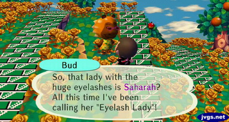 Bud: So, that lady with the huge eyelashes is Saharah? All this time I've been calling her "Eyelash Lady"!