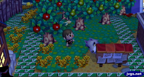 Fang leans out from behind the bulletin board, to see if the coast is clear.