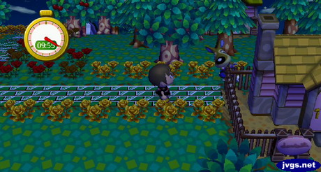 Kitt hides behind Cousteau's house during a game of hide and seek.