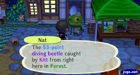 Nat: The 53-point diving beetle caught by Kitt from right here in Forest.