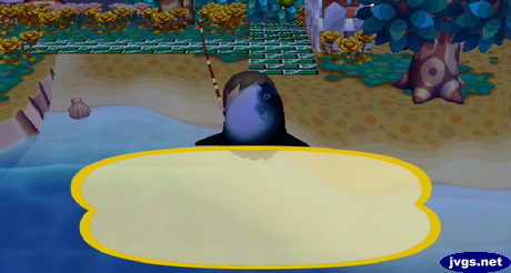 Catching an ocean sunfish.