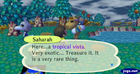 Saharah: Here...a tropical vista. Very exotic... Treasure it. It is a very rare thing.