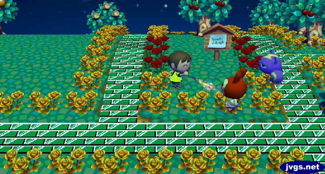 Burning Bunnie with a roman candle.