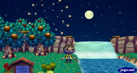 Watching the fireworks from near my waterfall.