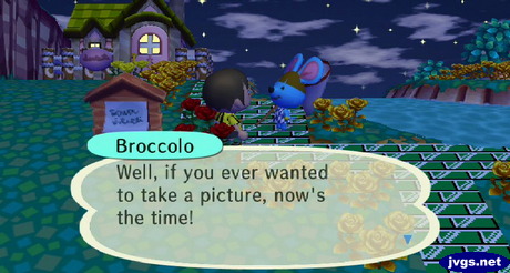 Broccolo: Well, if you ever wanted to take a picture, now's the time!
