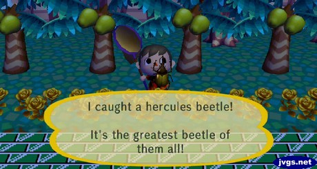 I caught a hercules beetle! It's the greatest beetle of them all!