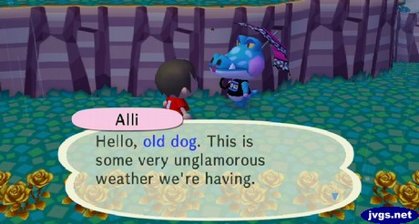 Alli: Hello, old dog. This is some very unglamorous weather we're having.
